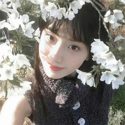 蓝色茉莉